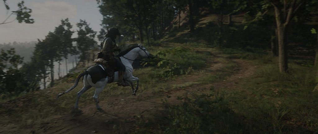 A male main character riding a white horse in a forest path