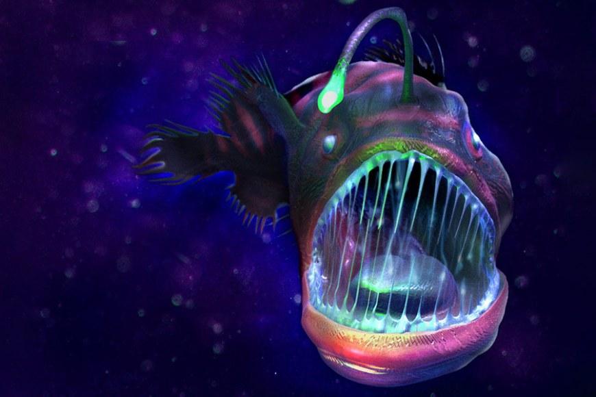 A deep-sea fish inspired researchers to develop supramolecular