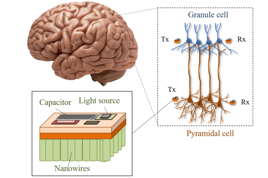Concept image of a brain that has nano scale communications depicted