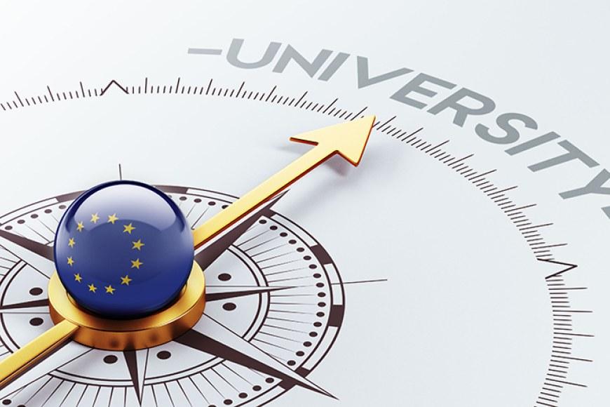 EU:n lipulla varustettu kompassineula osoittamassa sanaa "University".