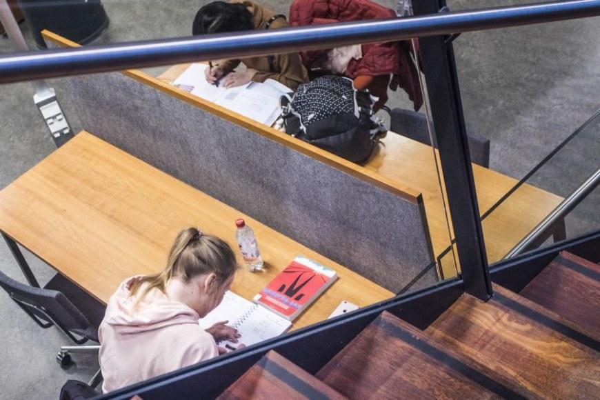 Kaksi opiskelijaa opiskelevat Linna-kirjastossa. Sermi opiskelijoiden välillä.