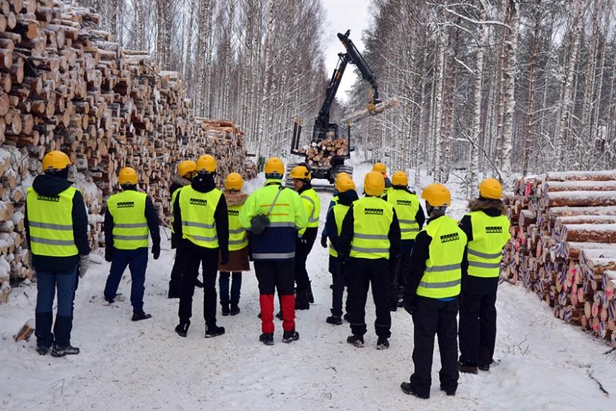 Tutkijajoukko turvaliiveineen ja -kypärineen tutustumassa talvisessa metsässä metsätyökoneen toimintaan.