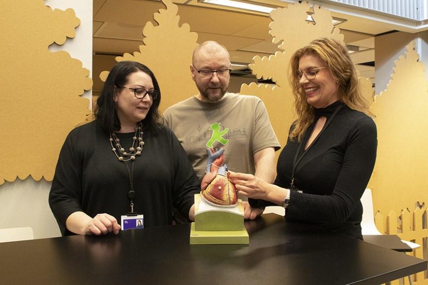 Nora Viitala, Jarno Sillman ja Gitte Taulo tutkivat sydämen anatomista mallia.