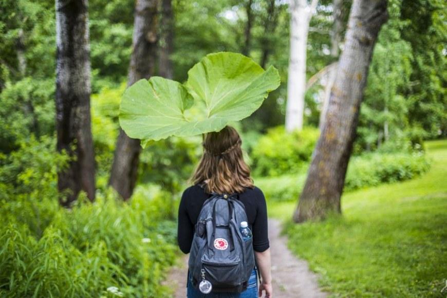 Tyttö kävelee vehreässä metsässä sininen reppu selässään. Hän kantaa suurta kasvin lehteä sateenvarjon tavoin päänsä päällä.