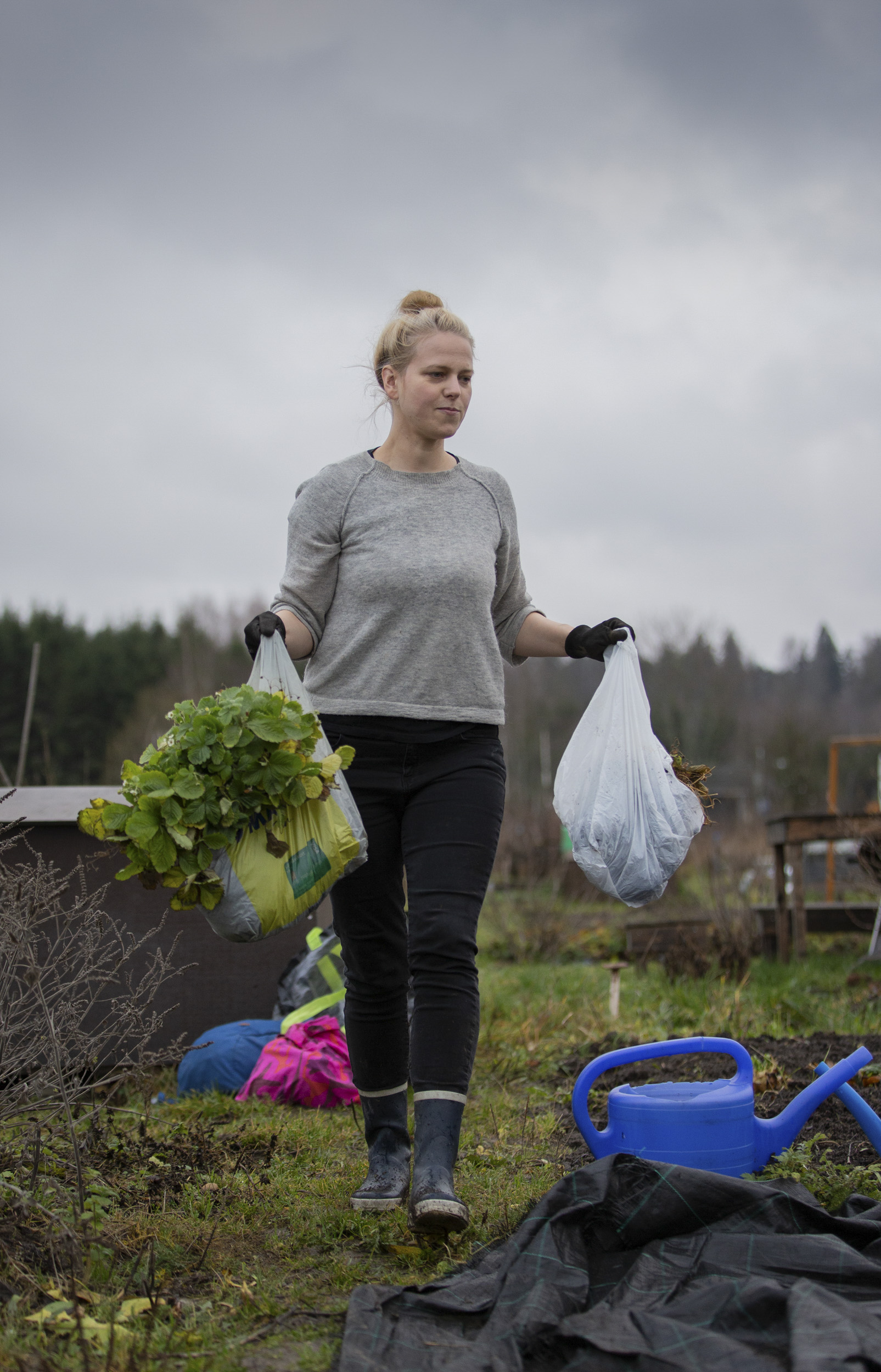Parvekkeella kasvanut amppelimansikka talvehtii palstalla ensi kevääseen.