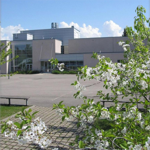 Keväinen kirkaan päivän kuva Norssin pihasta, jossa pensaiden takana näkyy vaalea kaksikerroksinen koulun H-siipi.