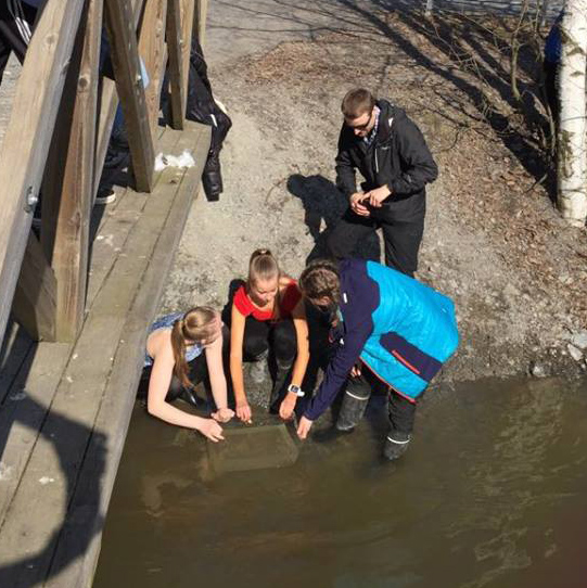 Kuvassa oppilat ovat vapauttamassa veteen koululla kasvatettuja järvitaimenten poikasia.