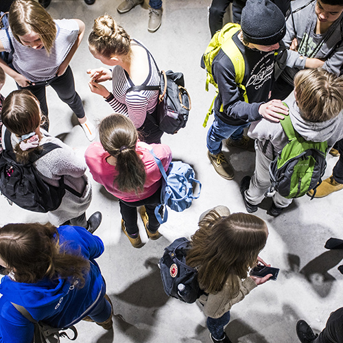 Kuvassa on ylhäältä otettu kuva yläkoulun oppilaista, jotaka juttelevat toisilleen pienissä ryhmissä reput selässään.