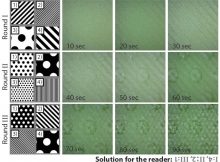 BioGraphr: Playing with bacteria