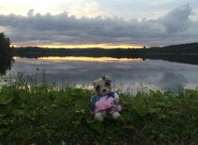 Real Communities Forming Online – Peek to Soft Toy Lovers Community on Instagram