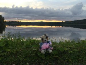 Read more about the article Real Communities Forming Online – Peek to Soft Toy Lovers Community on Instagram