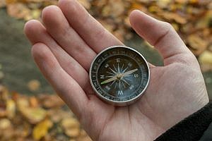 Read more about the article Does Using a Mini-Map Hinder You From Learning Your Surroundings?