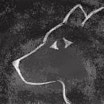 Why wolf? – what keeps me coming back to Werewolf