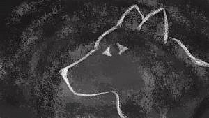 Read more about the article Why wolf? – what keeps me coming back to Werewolf