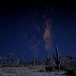 The Case of Excessive Realism in Games