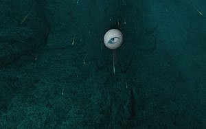 Read more about the article The Void – Explore the Many Colours of Terror