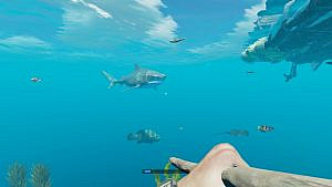 Here you can see one of the underwater dangers of this game.