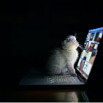 Different strokes for different folks – The many types of let’s plays