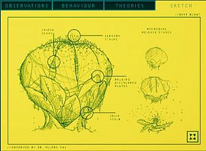 Read more about the article Explore the Natural Wonders of an Alien World: In Other Waters and Ecological Storytelling