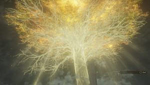 Read more about the article A Wondrous and Deadly World – Elden Ring