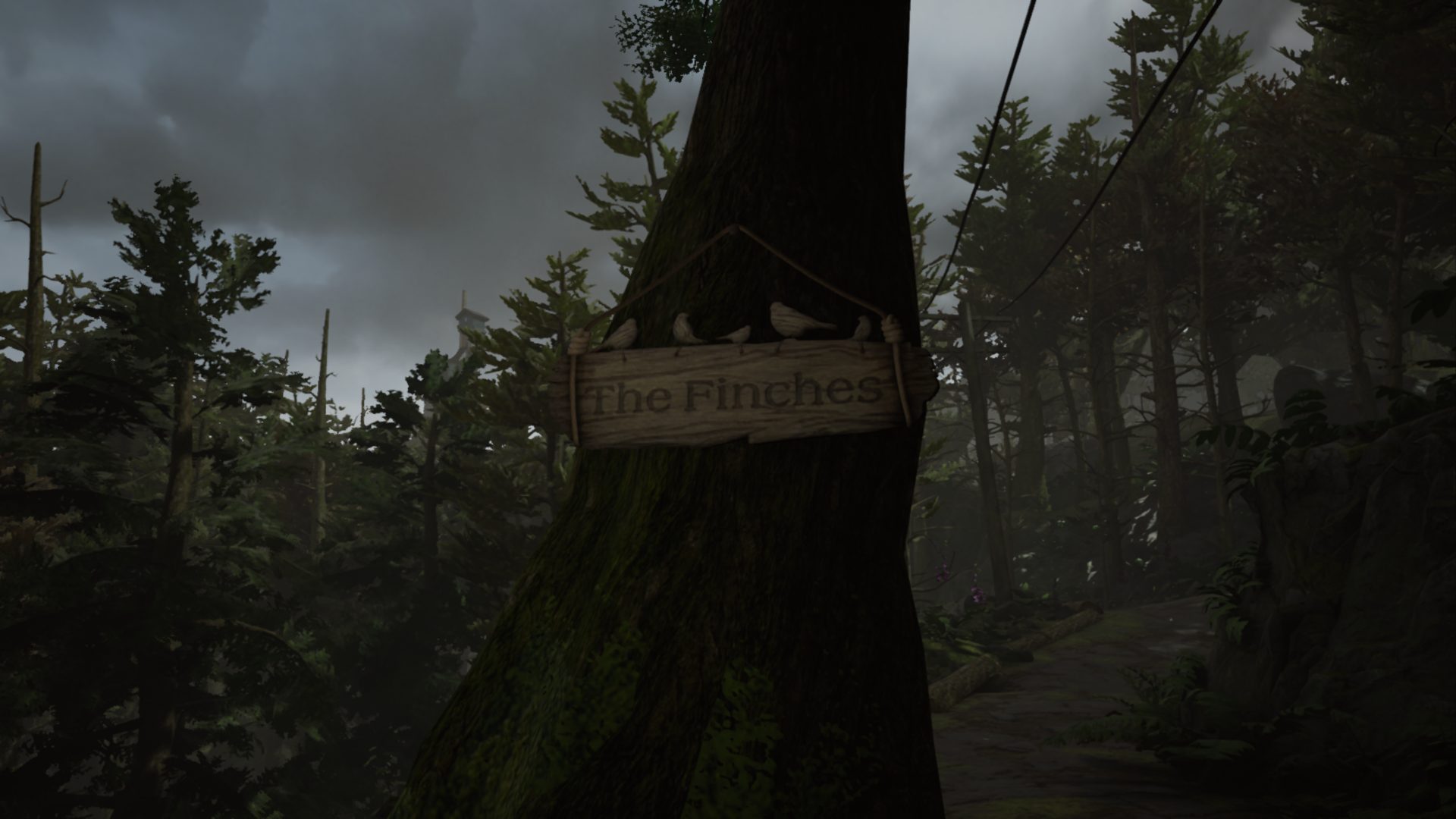 Wooden sing, adorned by ornamental birds has been se to hang from the side of a tree. It reads: "Finches".