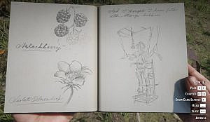 Diary with flowers drawn and named on one page, another page has a drawing of pig headed creature