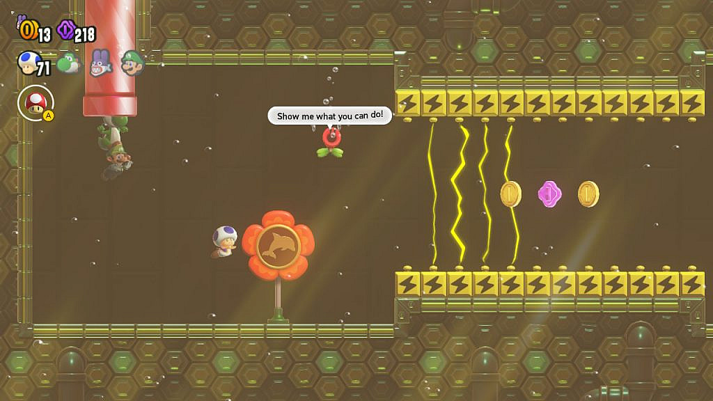 Blue toad swimming, about to enter a electric area. A flower is saying "Show me what you can do"