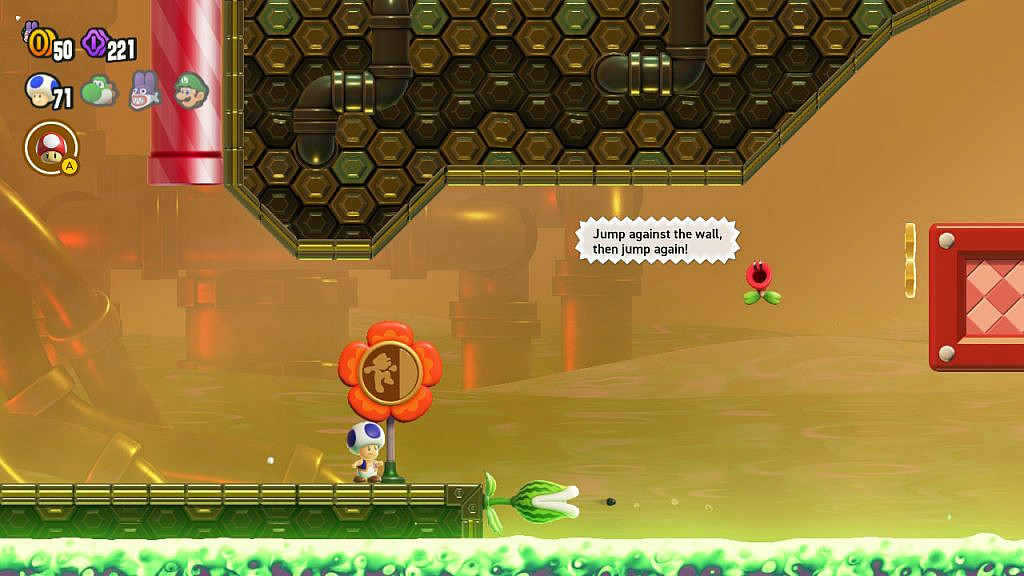 Flower is saying "Jump against the wall and jump again". Blue toad is about to start the course