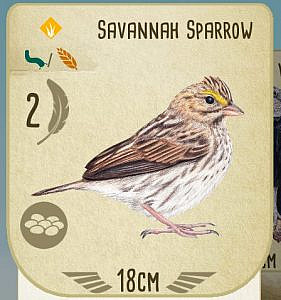 PLaying card with a drawing of the Savannah Sparrow.