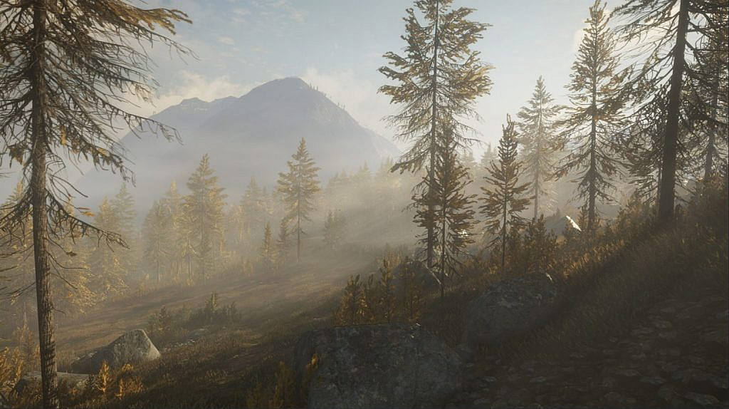 Foggy forest view, rays of sun coming behind the trees on the right. Mountains in the background.