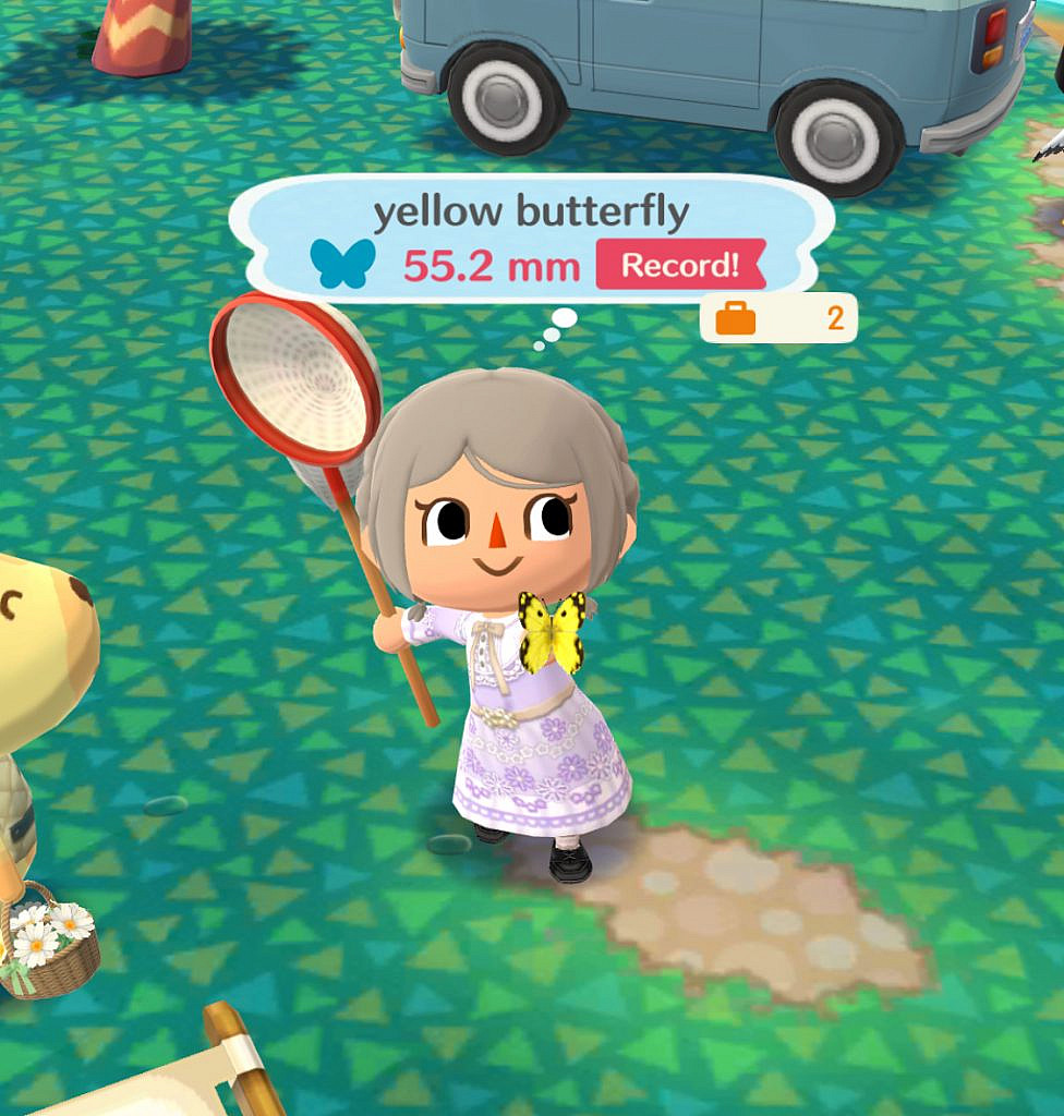 The player avatar is holding a yellow butterfly in one hand, and a net in the other. 