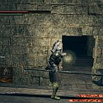 The Ludic Sublime from Dark Souls to Animal Well