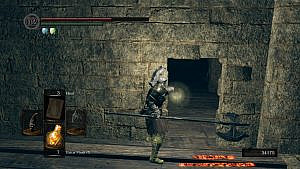 Read more about the article The Ludic Sublime from Dark Souls to Animal Well